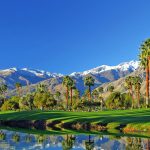 Palmsprings