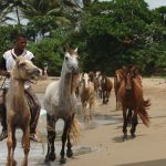 cabarete-2005-0665