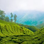 kerala-tamilnadu